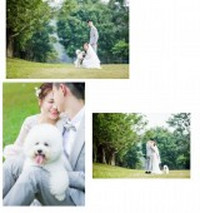 ��������Ʒ