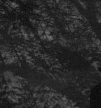 ����У����Ʒ