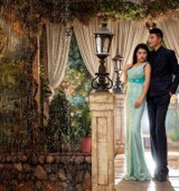 ��Ҷ����Ʒ