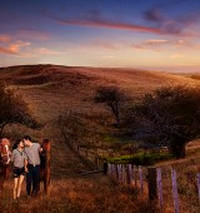 ��ƽ����Ʒ