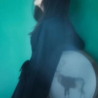 ��躵���Ʒ