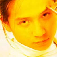 ��SIR����Ʒ