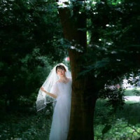 ��SIR����Ʒ