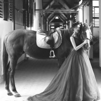 ���ٵ���Ʒ